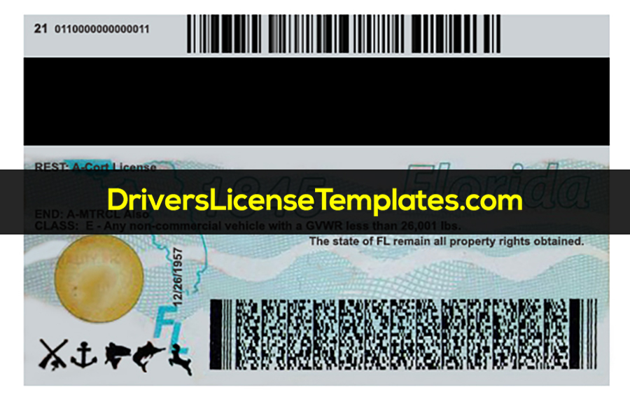free-florida-drivers-license-template-beastdom