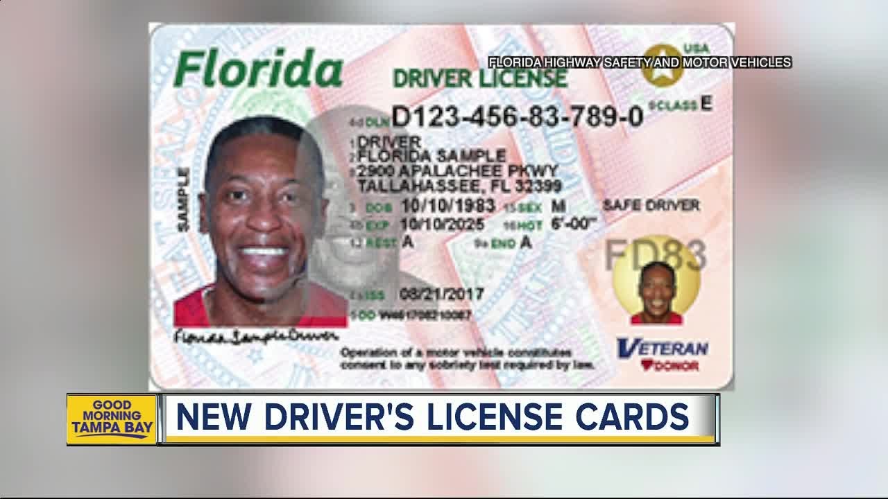 free-florida-drivers-license-template-beastdom
